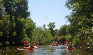 LARiverKayaks