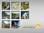 Northridge Vision